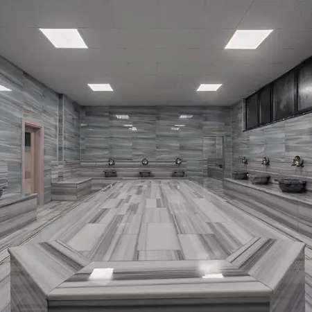 Afyon Regulus Thermal &