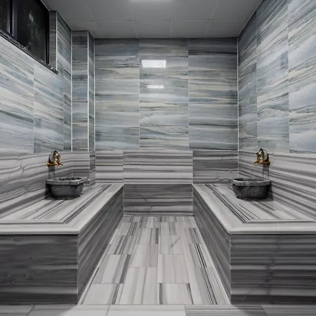 Afyon Regulus Thermal & 호텔