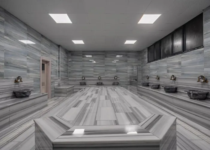 Afyon Regulus Thermal &